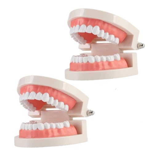 HEATSHAKING ͌^ pof ϋv wK⏕ OsHp