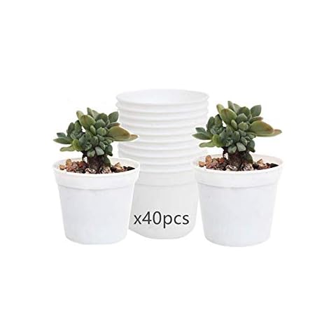 DODXIAOBEUL Round Succulents Plant Pots Drainage Hole, Set of 40 Mini Plant Pots 2.5" Wx2.25 H,Perfect for Plant Seeds,Seedling Nursery Transplanting Planter Container(White-40) Cover