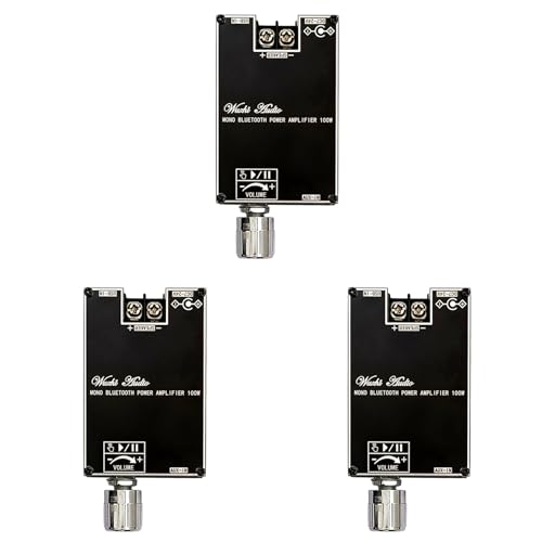 Module TPA3116D2 mono 100W pour réparer un haut-parleur passif via Bluetooth 5.1