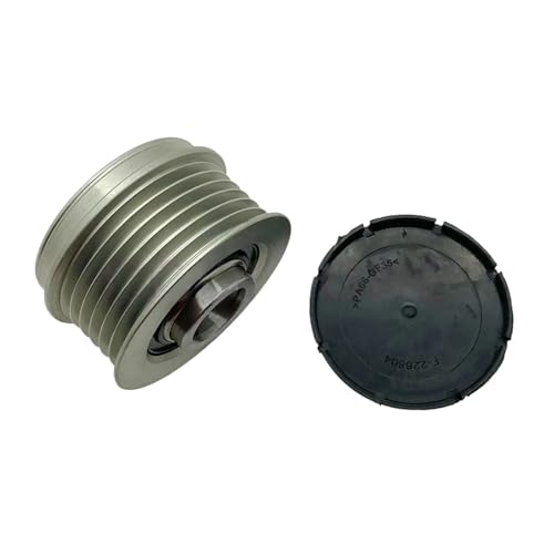 Roue libre d'alternateur F-237101 pour réparer le sifflement de courroie sur Fiat Doblo