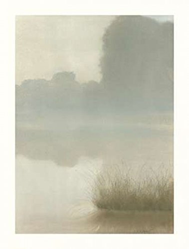 Posterazzi St Clair Mist Poster Print by Sammy Sheler, (11 x 14)