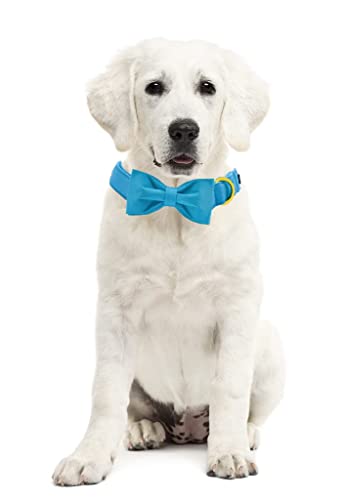 Unique style paws Dog Collar with Bowtie - Image 3