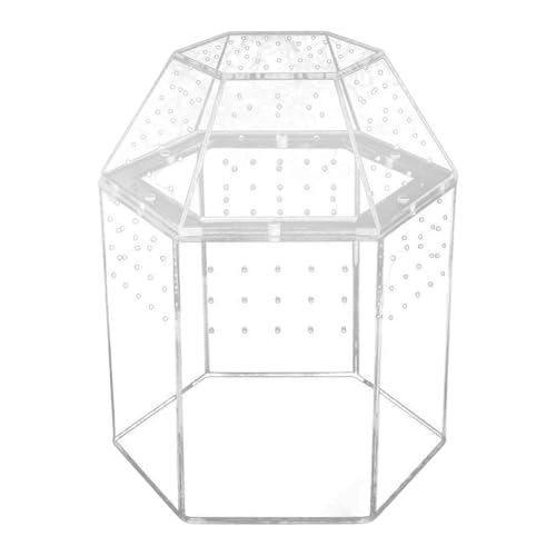 jkjblr WsOXpC_[GN[W[঒ރeECroE^`P[WƒpF闤㐫