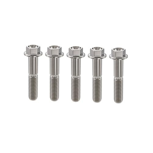 Image of Rison Titanium Bolts Flanged Hex Head Bolt M6x1.0x25mm 6AL4V Aerospace Grade Ti Bolt Original Color Titanium Screw for Motorcycle Car Modification Pack of 5