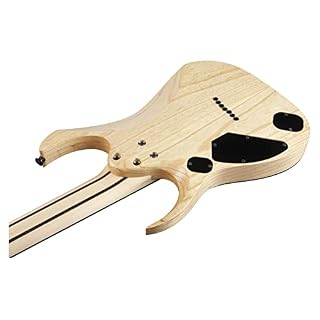 RGDR4427FX RGD Prestige Natural Flat 7 cordes + étui - Les Beatles, Paul McCartney, John Lennon, RIngo Starr, George Harrison RGDR4427FX RGD Prestige Natural Flat 7 cordes + étui – Image 7