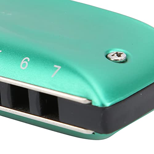 Harmonica, F‑Key Harmonica Beautiful pour les enfants pour les débutants - Les Beatles, Paul McCartney, John Lennon, RIngo Starr, George Harrison Harmonica, F‑Key Harmonica Beautiful pour les enfants pour les débutants – Image 5
