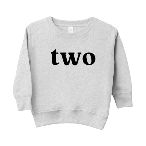 Toddler kids baby boy girl birthday outfit Two Second 2nd Birthday Boy girl Sweatshirt4