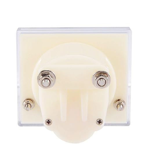 Cadran ampèremètre analogique de panneau DC 100mA modèle MOBYAT 85C1-A