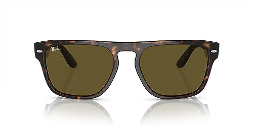 Ray-Ban RB4407 Square Sunglasses