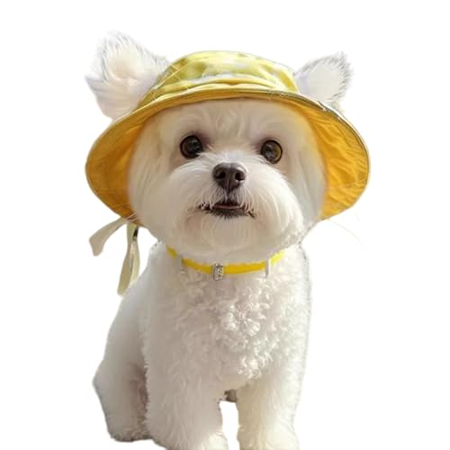 L Xq蕨 ybgp ANZT[zf[hXAbvybg UVیp tĒނXq (S)