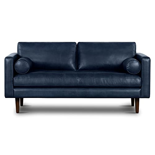 Poly and Bark Reviews Everything You Need to Know