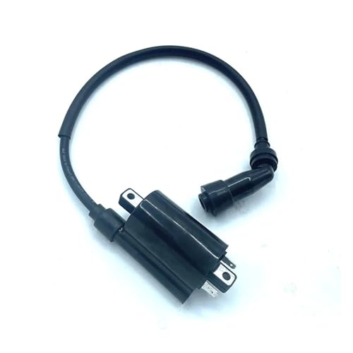 Bobine d'allumage 370500-102-0000 étanche pour moteur Leopard 600 et PM500