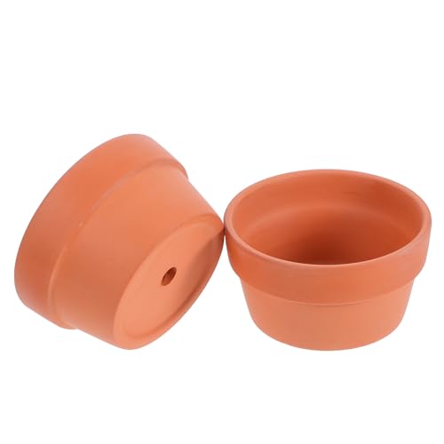 SHINEOFI Macetas de Terracota para Suculentas y Cactus 2 Piezas Tamaño Pequeño D125 CM con Orificio de Drenaje Color Rojo Adecuado para Decoración Interior y Balcón