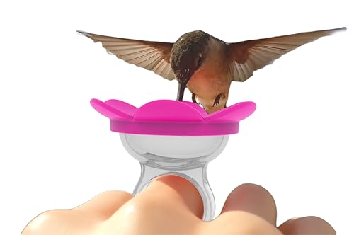 ZUMMR Hummingbird Ring Feeder (Pink) - Hand Feed Hummingbirds Right in Your Backyard. Get up Close and Personal with Nature. Proudly Made in The U.S.A. - The Original
