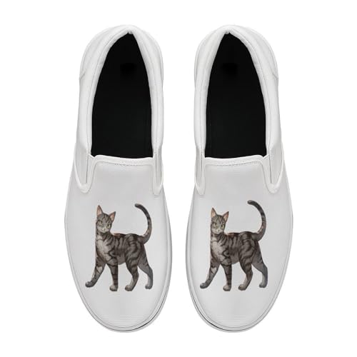 [SINYUIF] �L �l�R�� �L�����o�X�V���[�Y �X�j�[�J�[ ���[�t�@�[ �f�b�L�V���[�Y �E�H�[�L���O�C �h���C�r���O�C ���[�J�b�g �y�� ������� �ʋC�� �����₷�� �J�W���A�� ���s �ʋ� �ʊw �j�����p