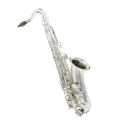 SҗpTbNX ei[TbNX Btbgvp؊ǊyAP[XA[hX^hAANZT[t