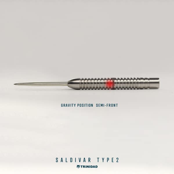 ダーツ　スティール　中西永吉　サルディバル　タイプ2 中西永吉選手モデル】SALDIVAR TYPE2(サルディバル2)レビュー