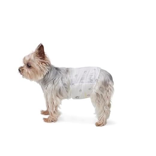 Amazon Basics - Pañal desechable para perro macho, XS, paquete de 30 unidades