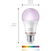 Philips Smart LED Full Color Light Bulb 4-Pack, A19 60W 800LM E26 Indoor, Sunset to Sunrise Automation + Motion Detection + Control with Voice or App, Matter Compatible