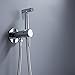 Chrome Bidet Sprayer for Toilet, Full Pressure Leakproof Cloth Diaper Sprayer for Baby, Bathroom Brass Handheld Bidet Sprayer Set