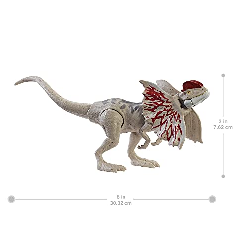 Jurassic World GWY30 - Dino-Angriff Dilophosaurus Dinosaurier-Actionfigur mit beweglichen Gelenken, Dinosaurier… – Bild 5