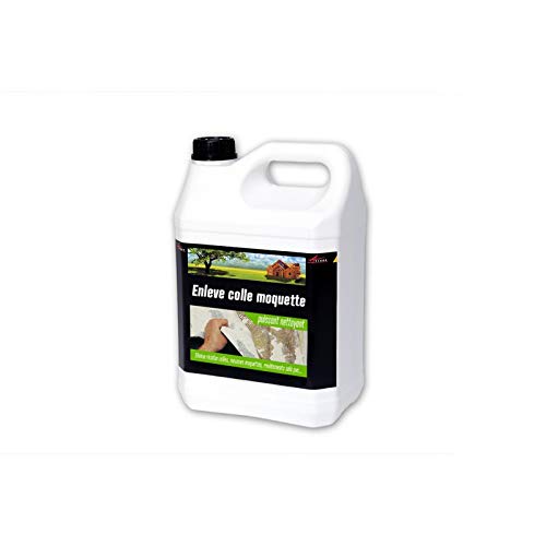 Quitar pelar moqueta suelo hormigón placo pared escalera encolado moqueta  Arcane Industries