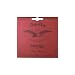 Aquila 13 O Oud Set 11 String Set Tuning Arabic 3.4 Kilogram Tension