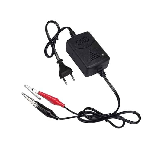 Adattatore di Alimentazione Universale Automobili Caricatore 12V 1300mA Caricabatteria Utilizzare per Accumulatore al Piombo Acido Auto Moto Caricabatterie