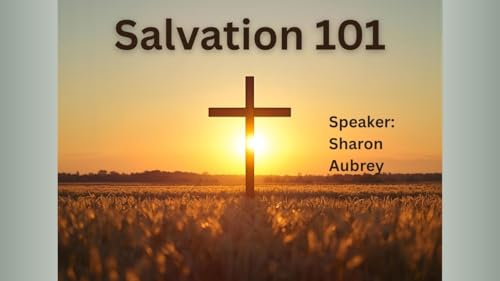 Page de couverture de Salvation 101