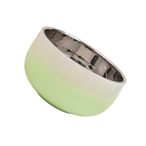 CHAKAE Ciotola termica con doppio strato per proteggere piatti moderni in acciaio inossidabile 304, ciotola a doppia parete per la tavola con pareti isolate