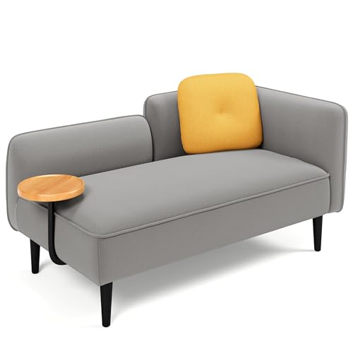 2 Seater Couch, Small Love Seat Couches for Small Spaces