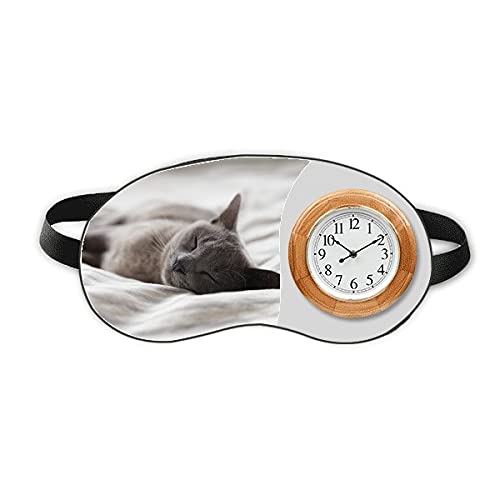 ̂킢O[̔L̎ʐ^Be vsx݊