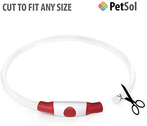 petsol led collar