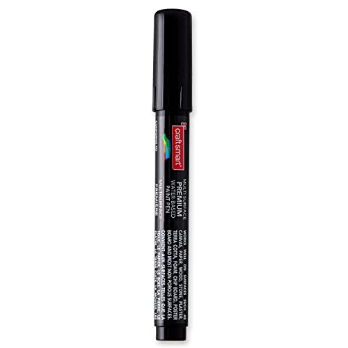Craft Smart Premium Broad Tip Matte Water-Based Paint Pen, 12