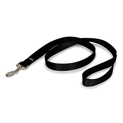 Amazon Best Sellers Best Standard Dog Leashes