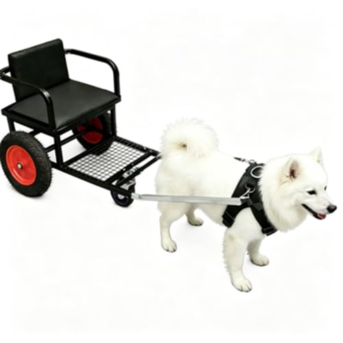 Heavy Duty Dog Pull Cart with Seat, Foldable All Terrain Dog Wagon