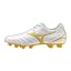 white/gold