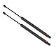 Stabilus SET 2 Stück Motorhaube Gasfeder 3477XW LIFT-O-MAT® Motorhaubendämpfer mit 280 Newton Dämpfer u.a. für MERCEDES-BENZ C-Klasse/CLK-Klasse, verschiedene Modelle 209343 2002-2005