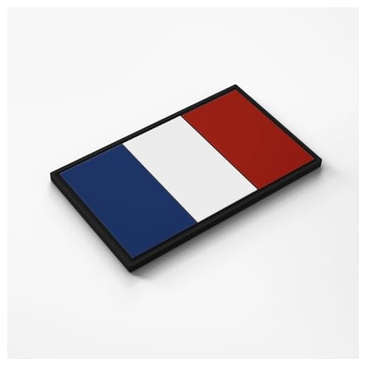 Patch Force - Patch en caoutchouc (coloré) 8 x 5 cm - Comme insigne pour uniformes, gilet de protection, sac d'intervention, veste ou sac à dos - Pour l'armée, la police et l'armée