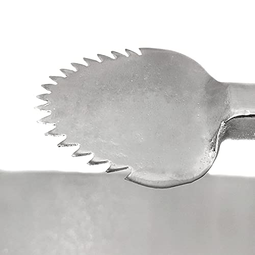 Chirava® Steel Coconut Scraper Tabletop Handy Movable Coconut Scraper Shredder Peeler Chopper Grater Chirava for Kitchen