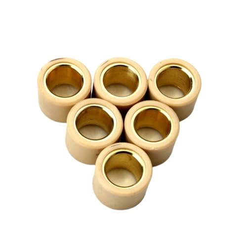 Rouleaux de variateur 12.5g poids 20.7mm moteur Si AL SMR 125 150 200