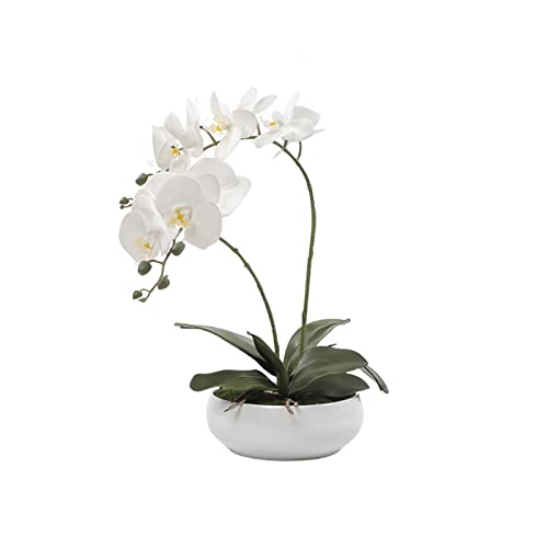 Plantes artificielles Orchidée artificielle FAIS FLEUR FLEUR PLANTE PLANTE PLANTE SIMULATION PLANTE FLOWER Convient à la salle de bains Familiale Salle de bain Cuisine Cuisine Décoration de bureau Pla Cover