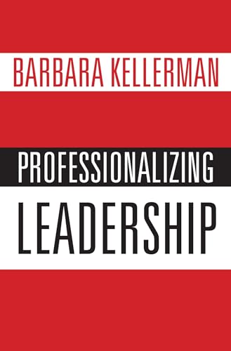 Professionalizing Leadership view 2