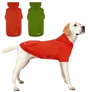 2 Pieces Basic Cotton Dog Hoodie Sweater, Soft Pet Clothes Dog Sweatshirts, Dog Outfit Coat Pullover with Pocket and Leash Hole for Small Medium Large Dogs, Grass Green & Orange (Large)