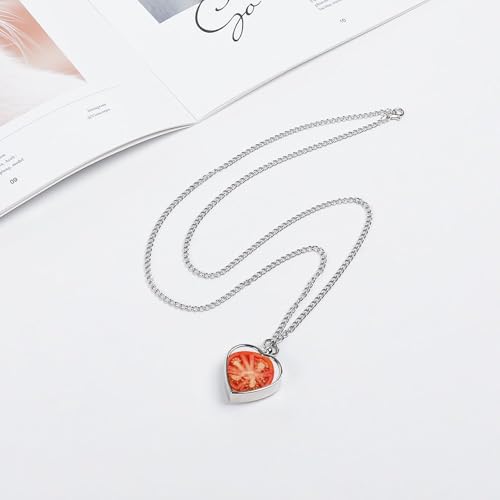 Collier urne funéraire tranche de tomate pour deuil de chat - 6