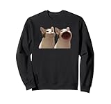 Cursed Cat Memes