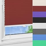 Persianas Cortina Plisada 50 x 50 cm Protección Solar y Privacidad Persiana Enrollable Blackout Decoración De Muebles del Hogar para Salón, Rojo
