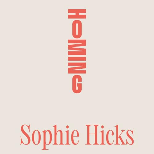 Architect Sophie Hicks on being an 80s cover girl, and why every object should have a purpose
