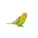 MOJO Green Budgerigar (Australian Parakeet) Realistic International Wildlife Toy Replica Hand Painted Figurine Small