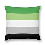 peiyeety weicher LGBT Pride Flag Aromantischer Kissenbezug Farbiges Dekokissen für den Außenbereich Sommer